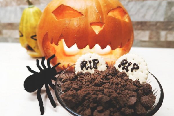 12043161_1617509535178488_8329473284559113141_n